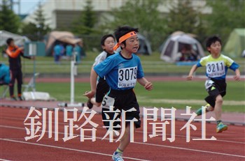293.jpg