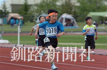 294.jpg