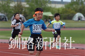 295.jpg