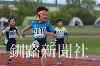 296.jpg