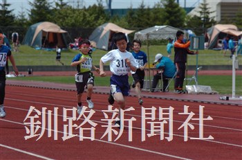 310.jpg