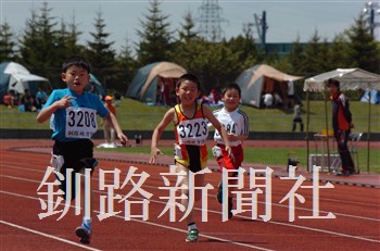 319.jpg
