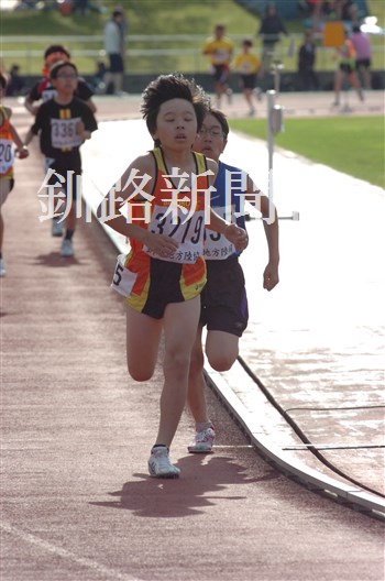 1331.jpg
