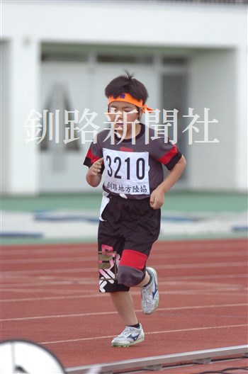 1019.jpg