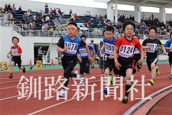 1034.jpg