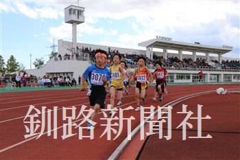 1036.jpg